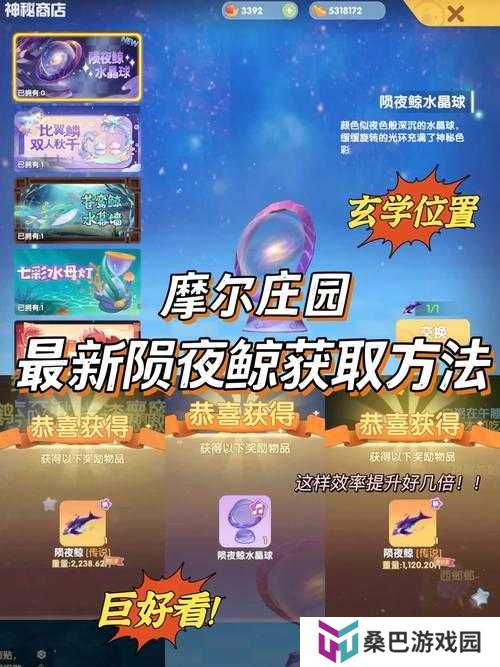 摩尔庄园手游雨天才能获得的雨点球，究竟隐藏在哪些神秘角落？