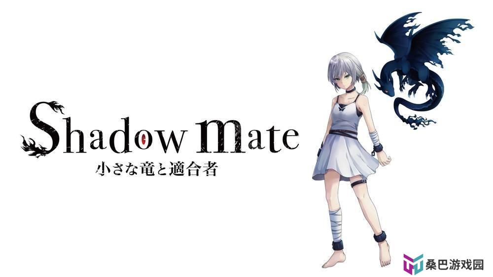 恐怖冒险游戏《暗影伙伴～小龙与契合者～（Shadow mate ~小さな竜と适合者~）》将于2025年登场 与小龙伙伴合作逃出实验室