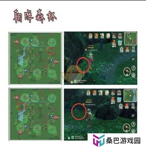 如何巧妙管理资源，成功完成小森生活中的甲虫对战任务？