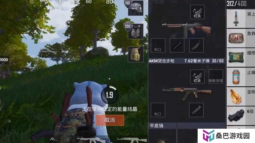 和平精英金刚结晶究竟有何神力？未来玩法将如何因它而革命？