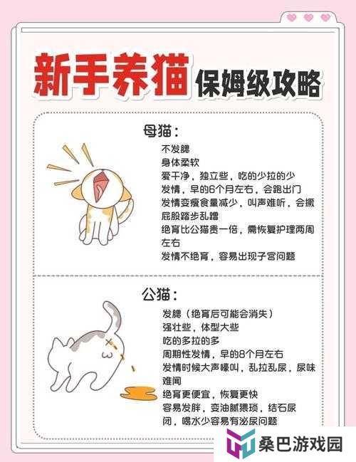 如何在小森生活中成功领养猫咪？底层逻辑与操作全攻略揭秘！