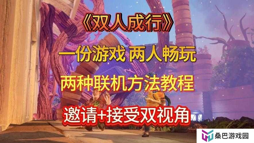 双人成行远程同乐如何做到资源管理高效，实现价值最大化？
