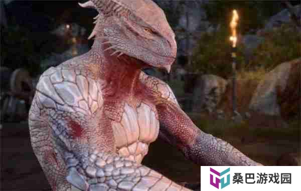 博德之门3死亡追踪者斗篷怎么获得 死亡追踪者斗篷获得攻略