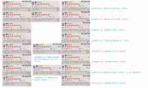 这就是江湖弟子自创前置怎么用-江湖游戏自用弟子自创前置攻略