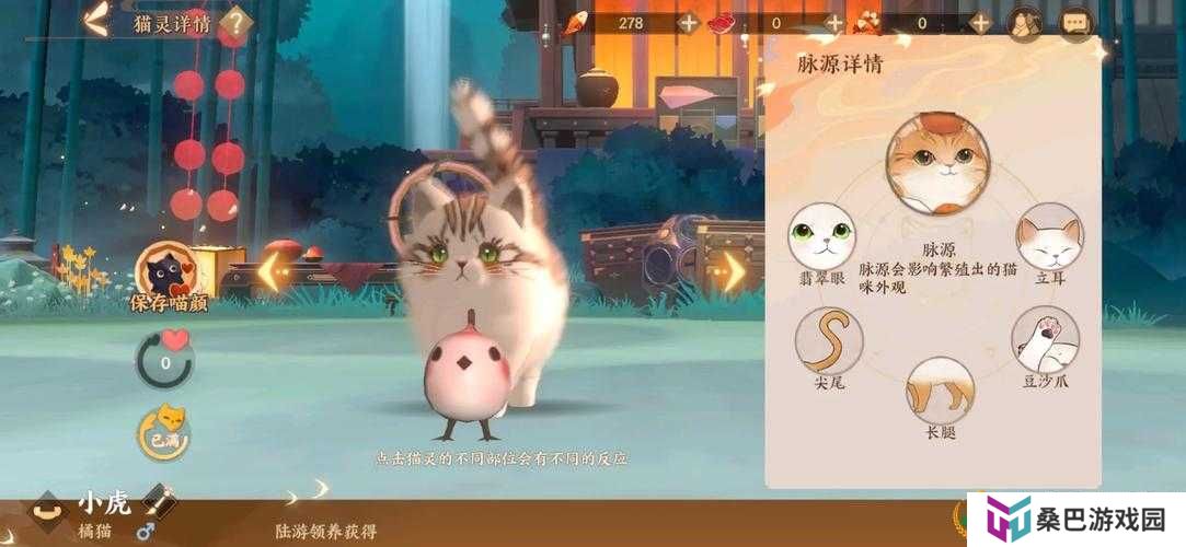 忘川风华录猫灵领养攻略揭秘，如何领取最强猫灵，演变史中有何技巧？