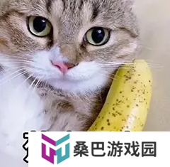 【大河怼策划】交易区真的要来啦！