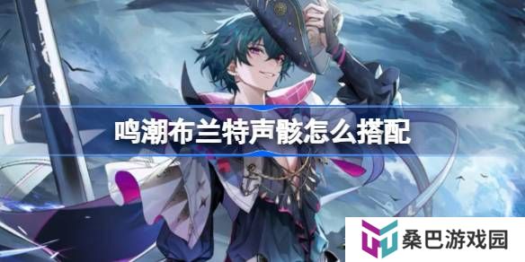 鸣潮布兰特声骸怎么搭配-鸣潮布兰特声骸推荐