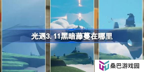 光遇3.11黑暗藤蔓在哪里-光遇3月11日染料位置攻略