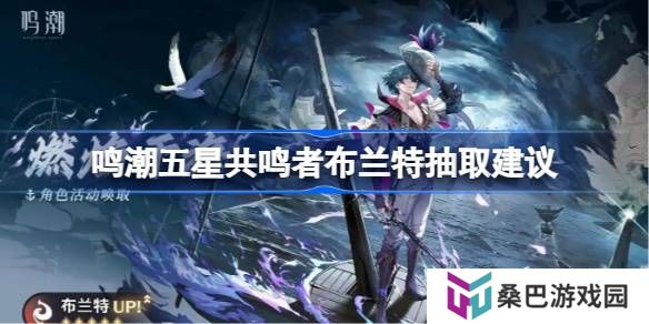 鸣潮五星共鸣者布兰特抽取建议-鸣潮五星共鸣者布兰特要不要抽