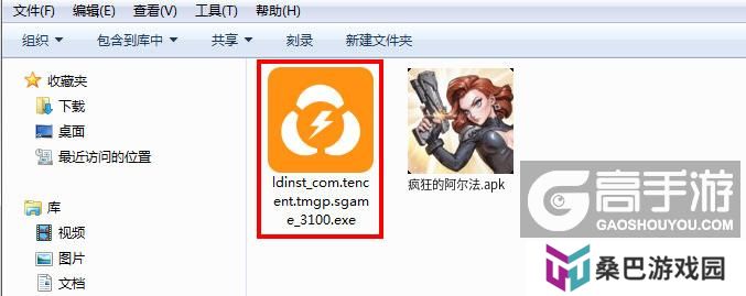  疯狂的阿尔法电脑版安装程序