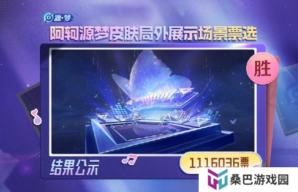 王者荣耀阿轲源梦皮肤局外展示场景投票结果放出