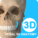 维萨里3D解剖免费安卓版
