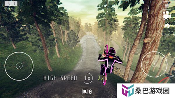 Descenders