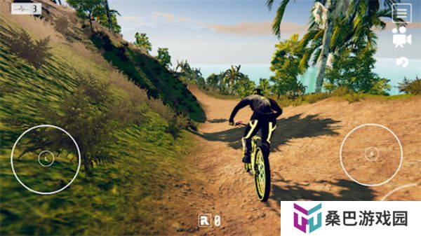 Descenders