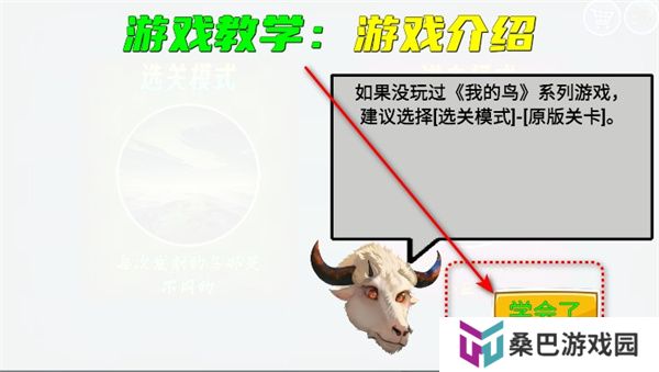我的鸟随机版