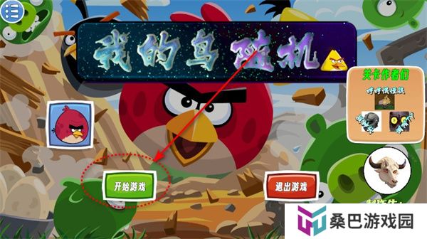 我的鸟随机版
