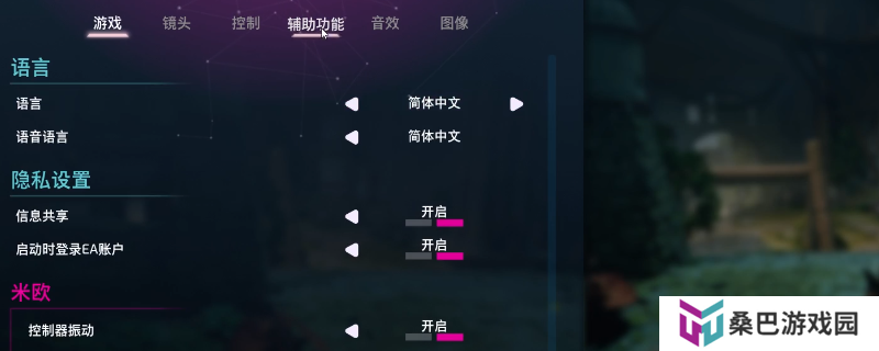 《双影奇境》辅助选项作用介绍