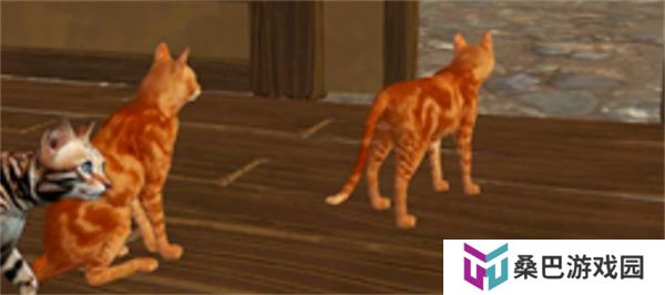 猫咪格斗战争模拟器
