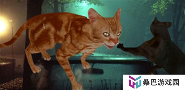 猫咪格斗战争模拟器