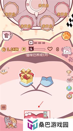 云撸猫咪