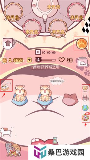 云撸猫咪
