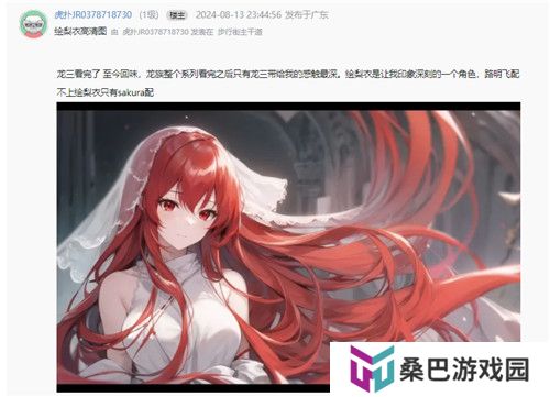 今年虎扑女神大赛，《龙族》粉丝集体演了一出“越共探头”
