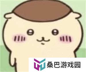 ChiikawaPocket