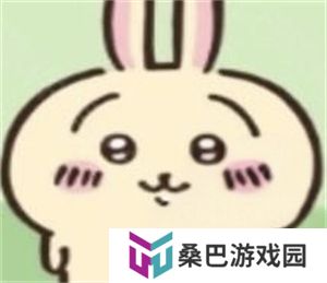 ChiikawaPocket