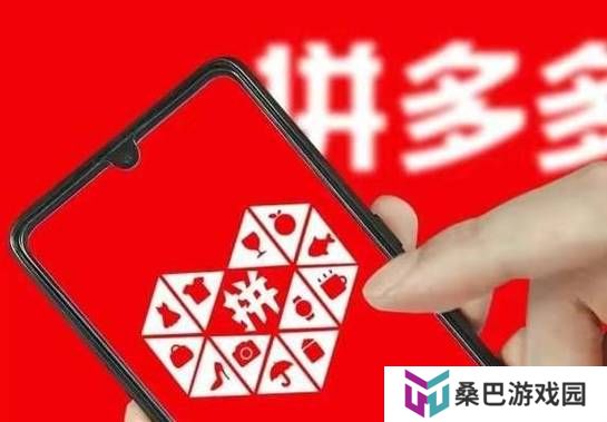 拼多多2024年营收3938.361亿元 你为它助力了多少？
