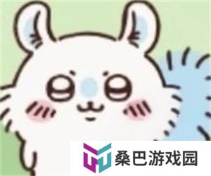 ChiikawaPocket