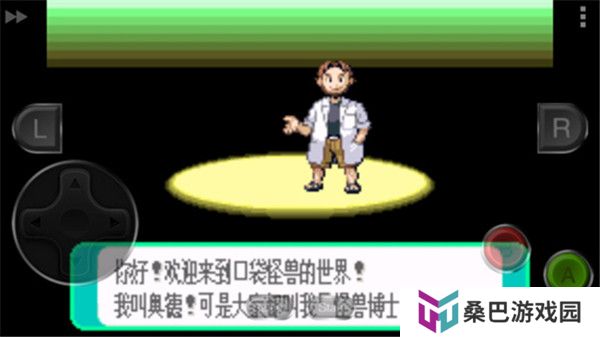 口袋妖怪绿宝石中文版