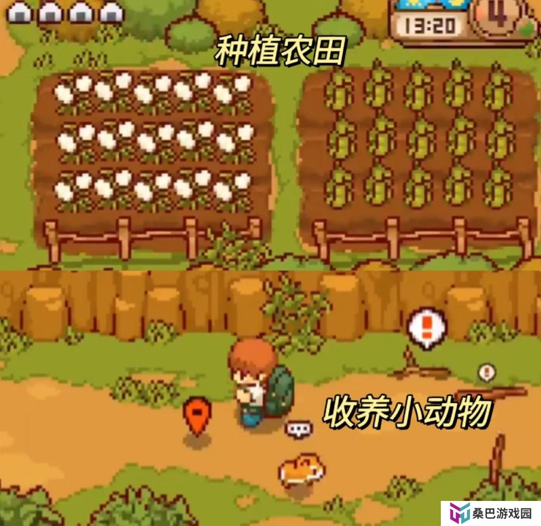 summer田舍生活
