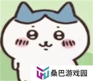ChiikawaPocket