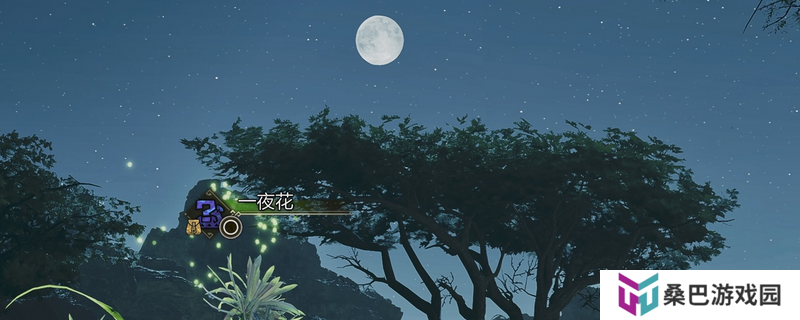 《怪物猎人：荒野》简单采集方法介绍
