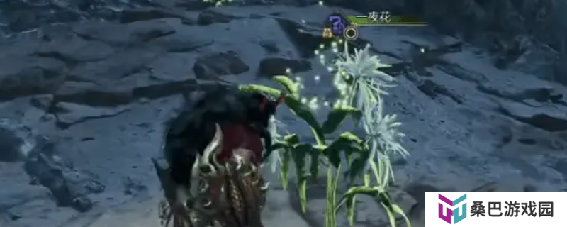 《怪物猎人：荒野》刷一夜花攻略介绍