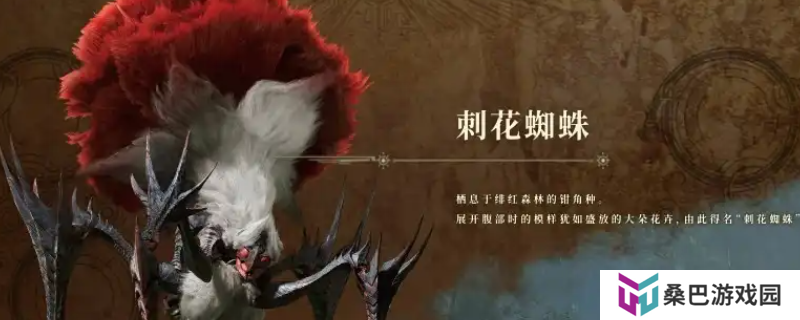 《怪物猎人：荒野》刺花蜘蛛弱点介绍