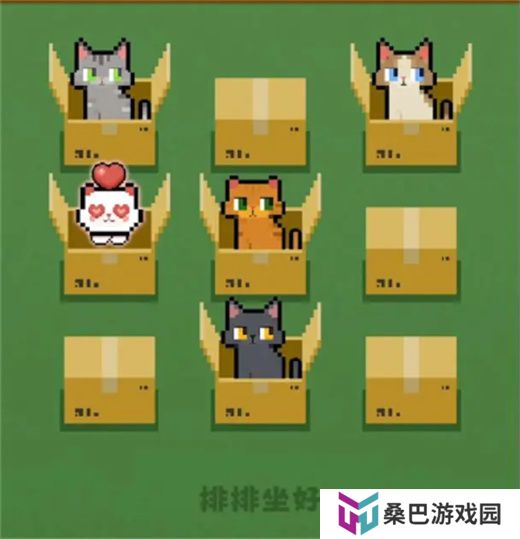 数猫猫