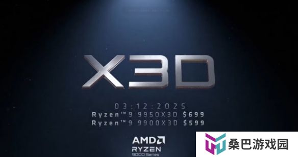 AMD 9900X3D/9950X3D 3月12日上市！价格不变！
