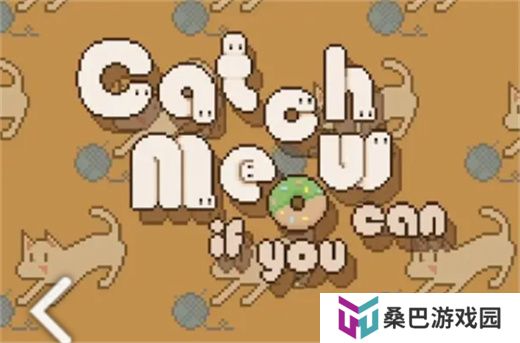数猫猫