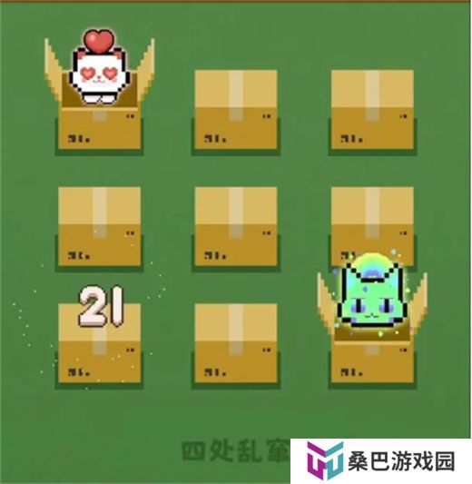 数猫猫