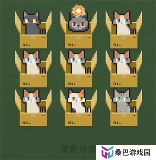数猫猫