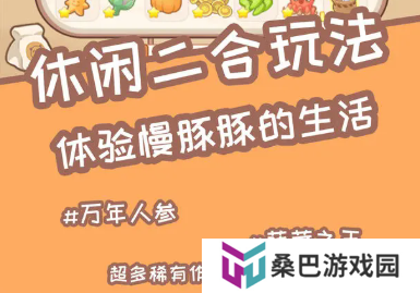 慢豚豚的生活