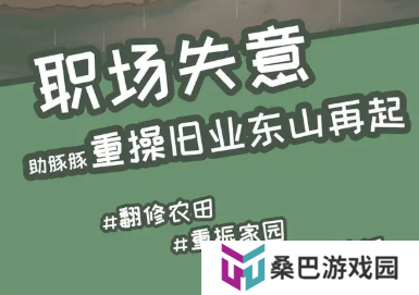 慢豚豚的生活