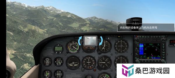 专业模拟飞行10