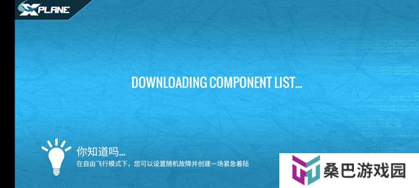 专业模拟飞行10