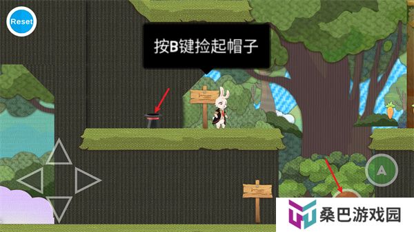 追逐繁星的兔子