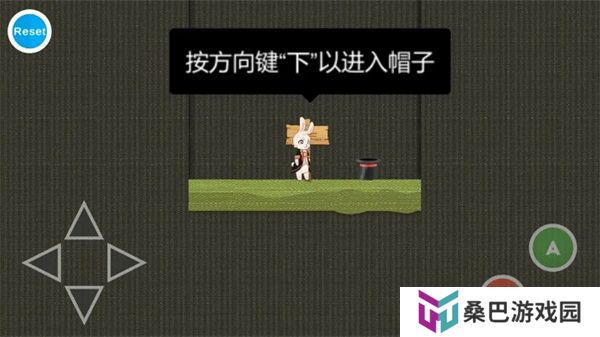 追逐繁星的兔子