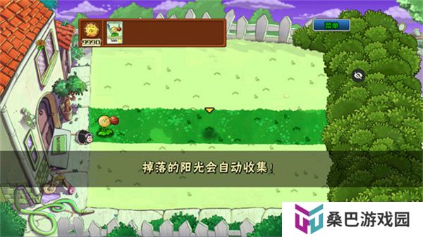 植物大战僵尸ikun版