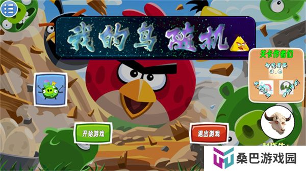我的鸟