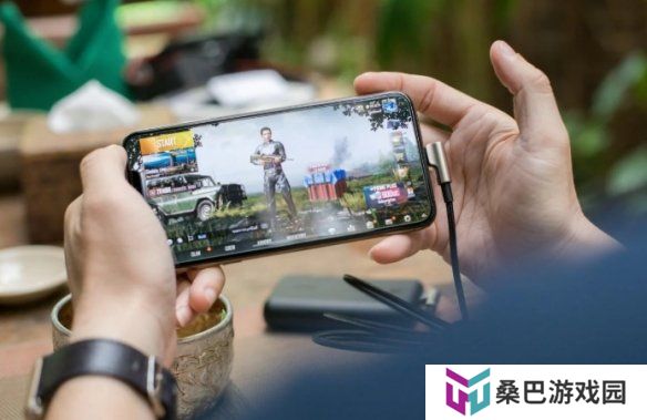 日本手游氪金调查:男性远多于女性!40~49岁最喜欢氪金
